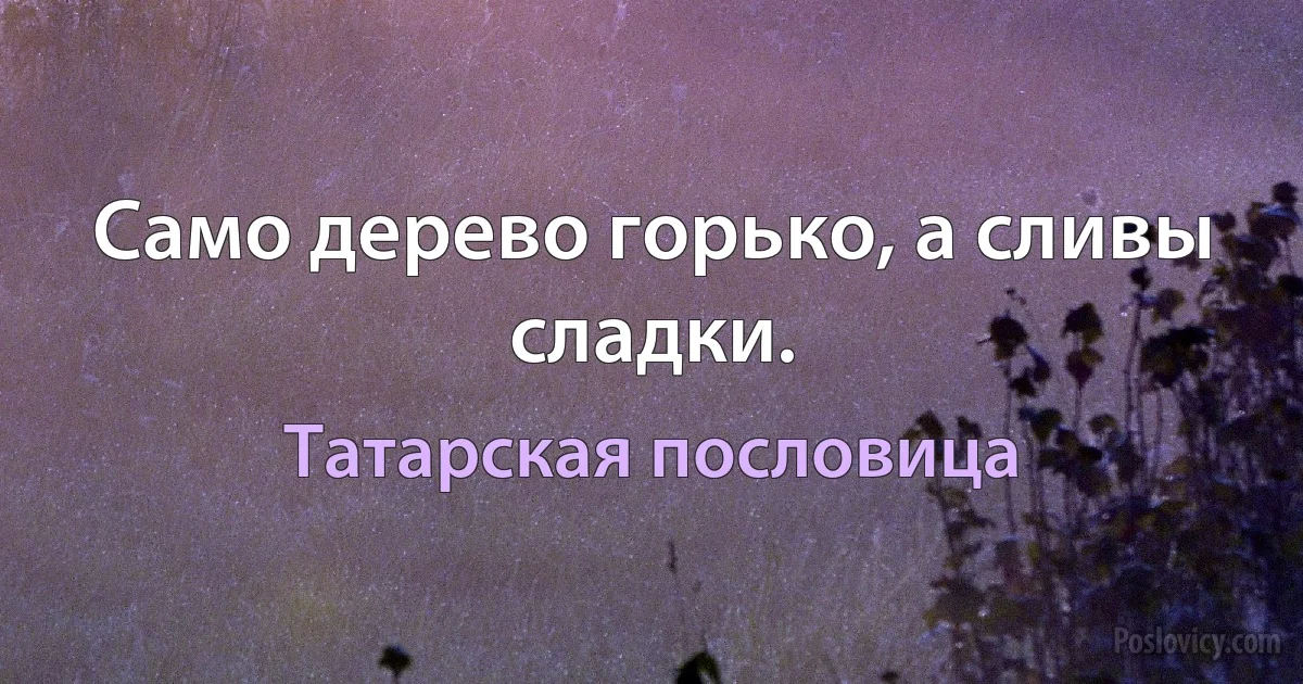 Само дерево горько, а сливы сладки. (Татарская пословица)