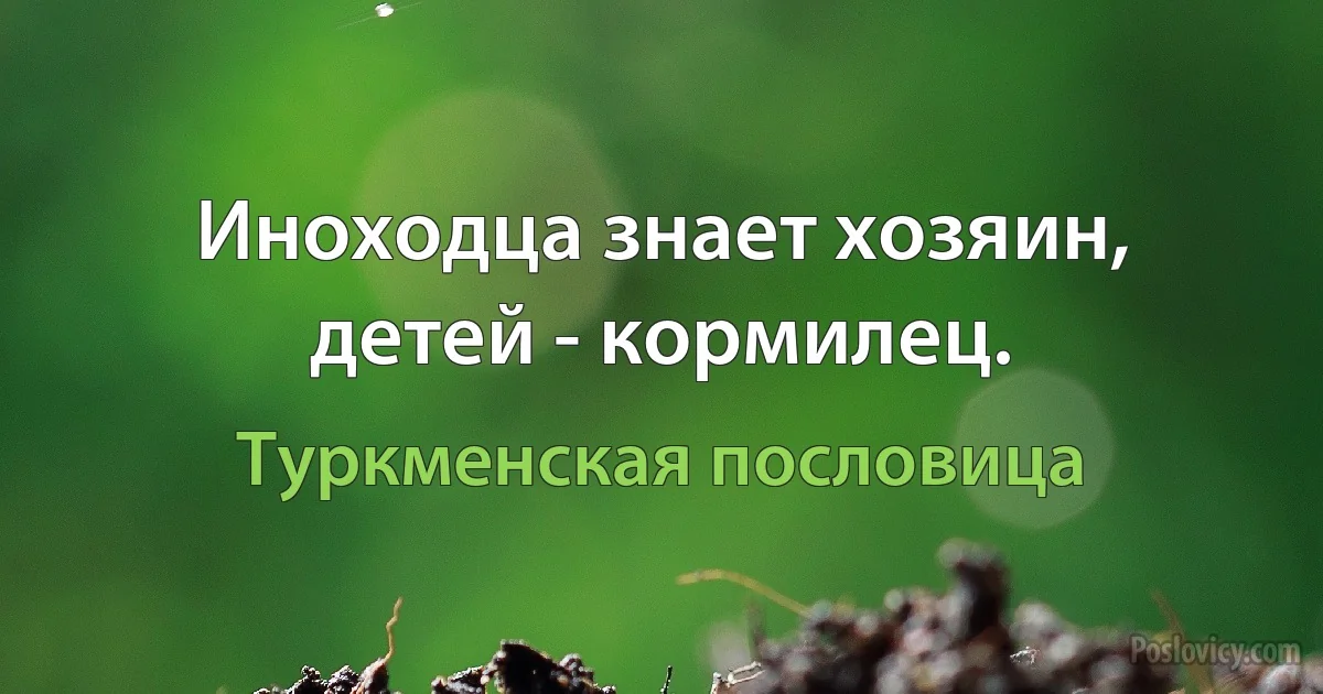 Иноходца знает хозяин, детей - кормилец. (Туркменская пословица)