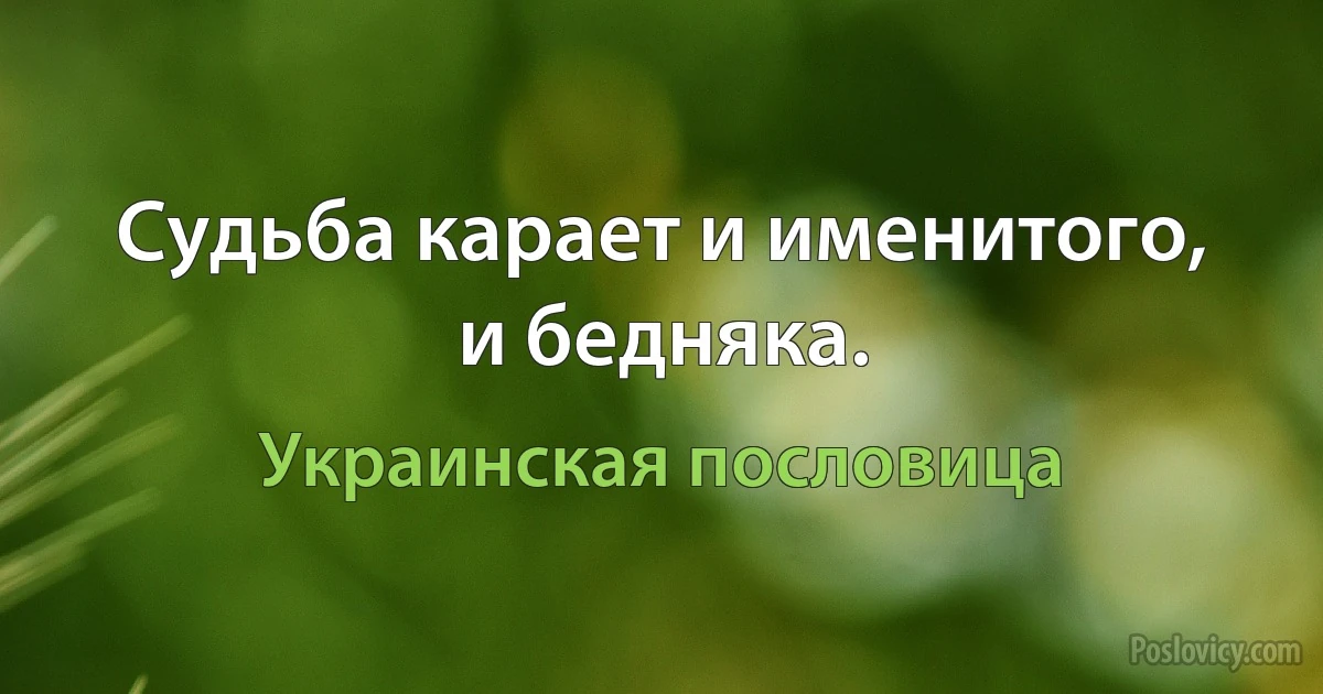 Судьба карает и именитого, и бедняка. (Украинская пословица)