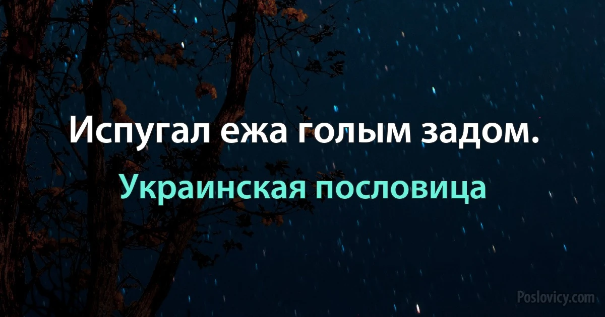 Испугал ежа голым задом. (Украинская пословица)