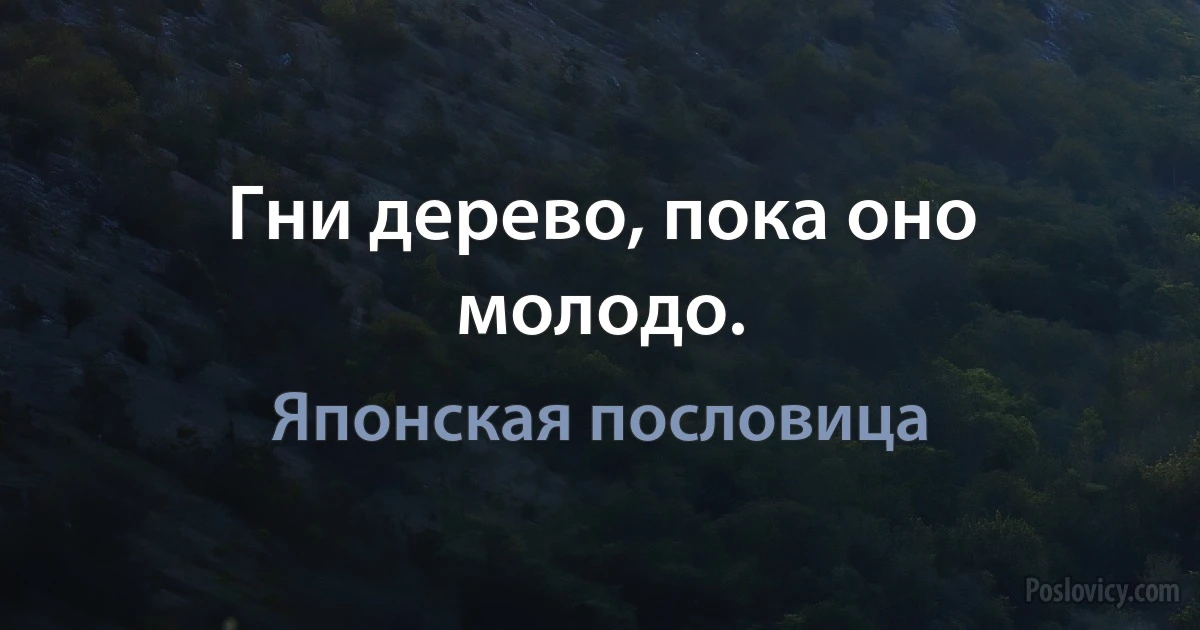 Гни дерево, пока оно молодо. (Японская пословица)