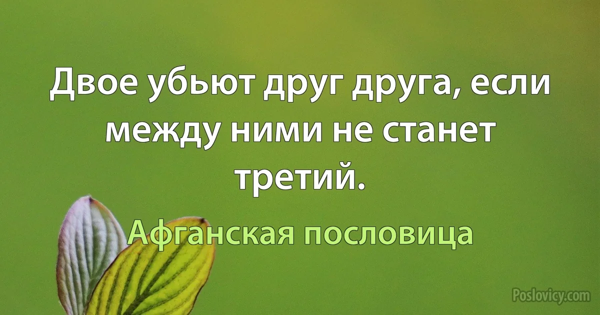 Двое убьют друг друга, если между ними не станет третий. (Афганская пословица)