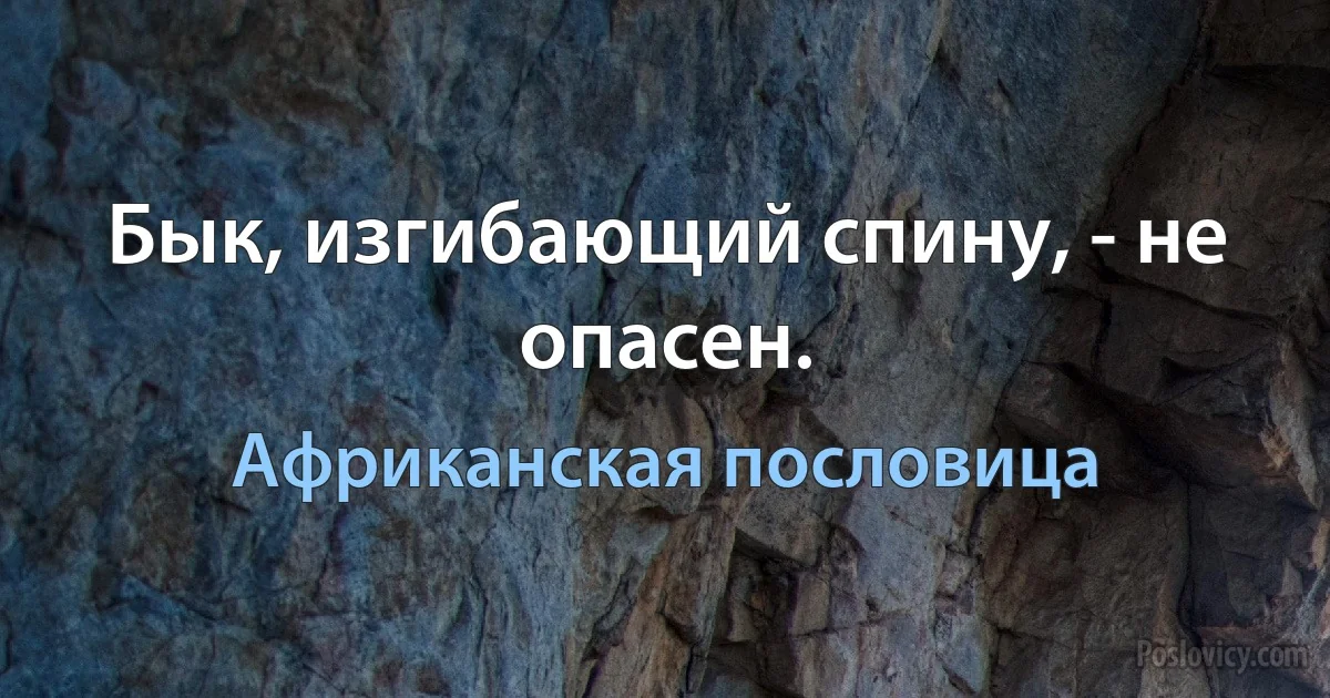 Бык, изгибающий спину, - не опасен. (Африканская пословица)