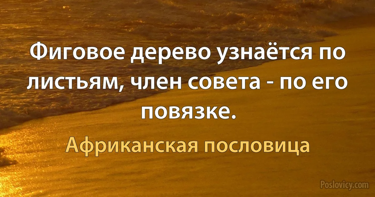 Фиговое дерево узнаётся по листьям, член совета - по его повязке. (Африканская пословица)