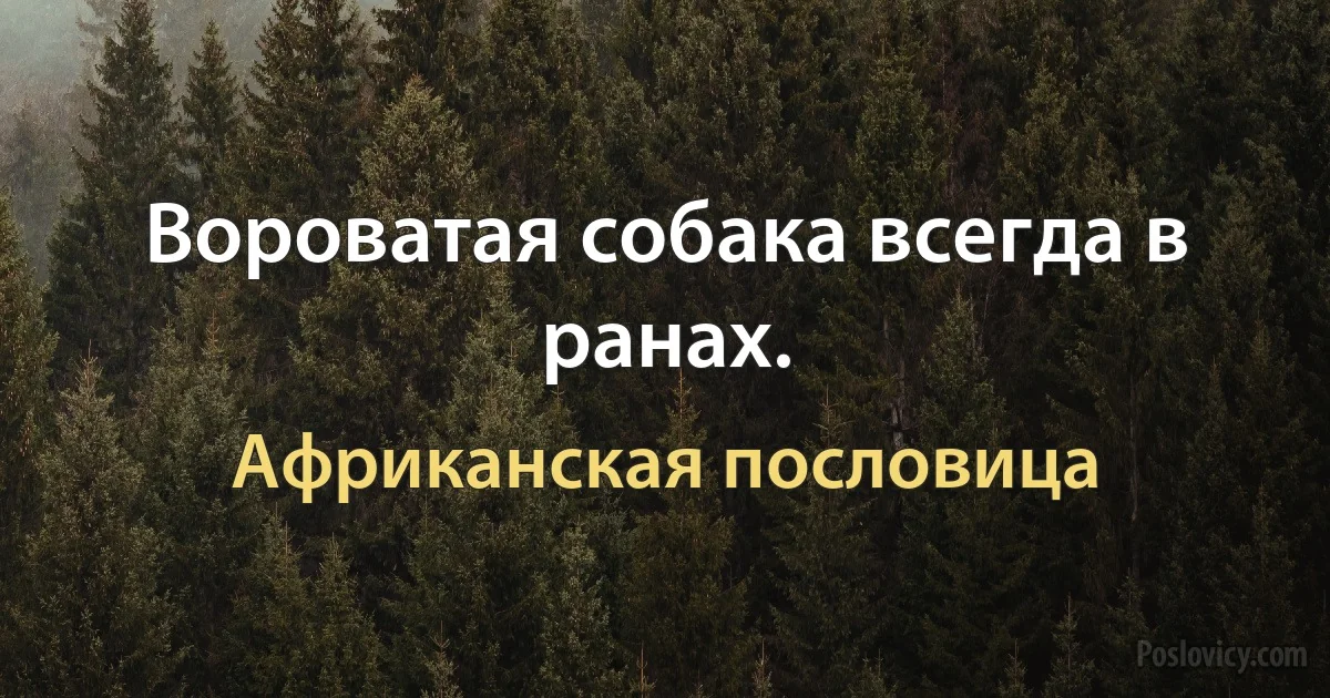 Вороватая собака всегда в ранах. (Африканская пословица)