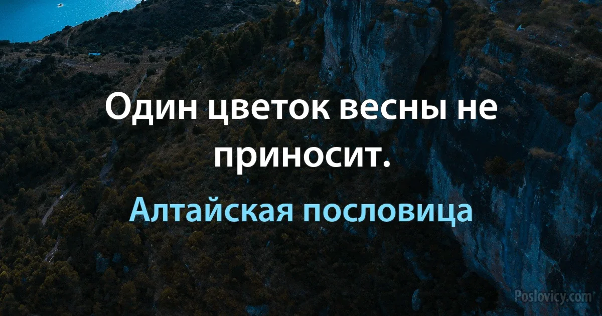 Один цветок весны не приносит. (Алтайская пословица)