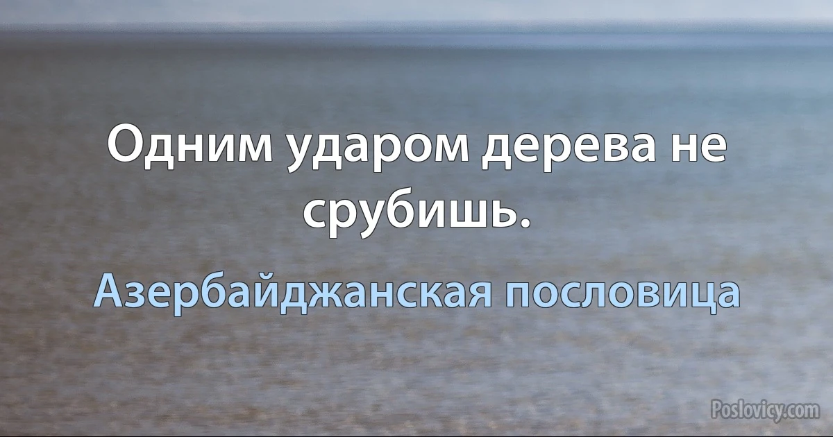 Одним ударом дерева не срубишь. (Азербайджанская пословица)