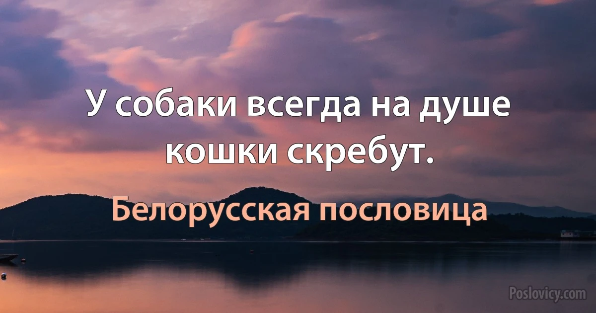 У собаки всегда на душе кошки скребут. (Белорусская пословица)