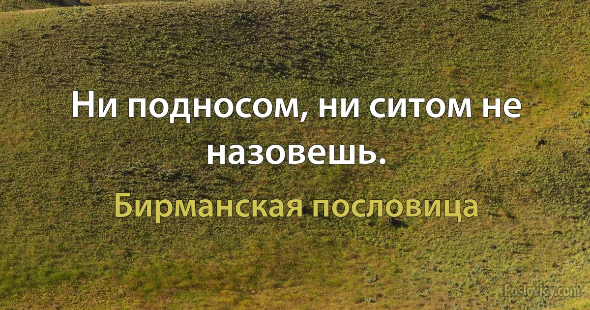 Ни подносом, ни ситом не назовешь. (Бирманская пословица)