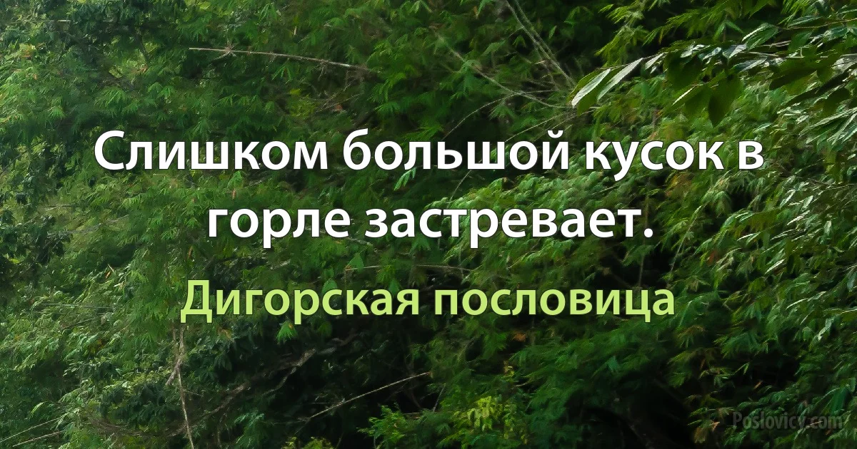 Слишком большой кусок в горле застревает. (Дигорская пословица)