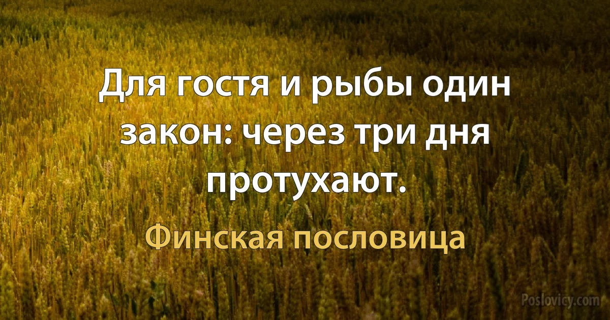 Для гостя и рыбы один закон: через три дня протухают. (Финская пословица)