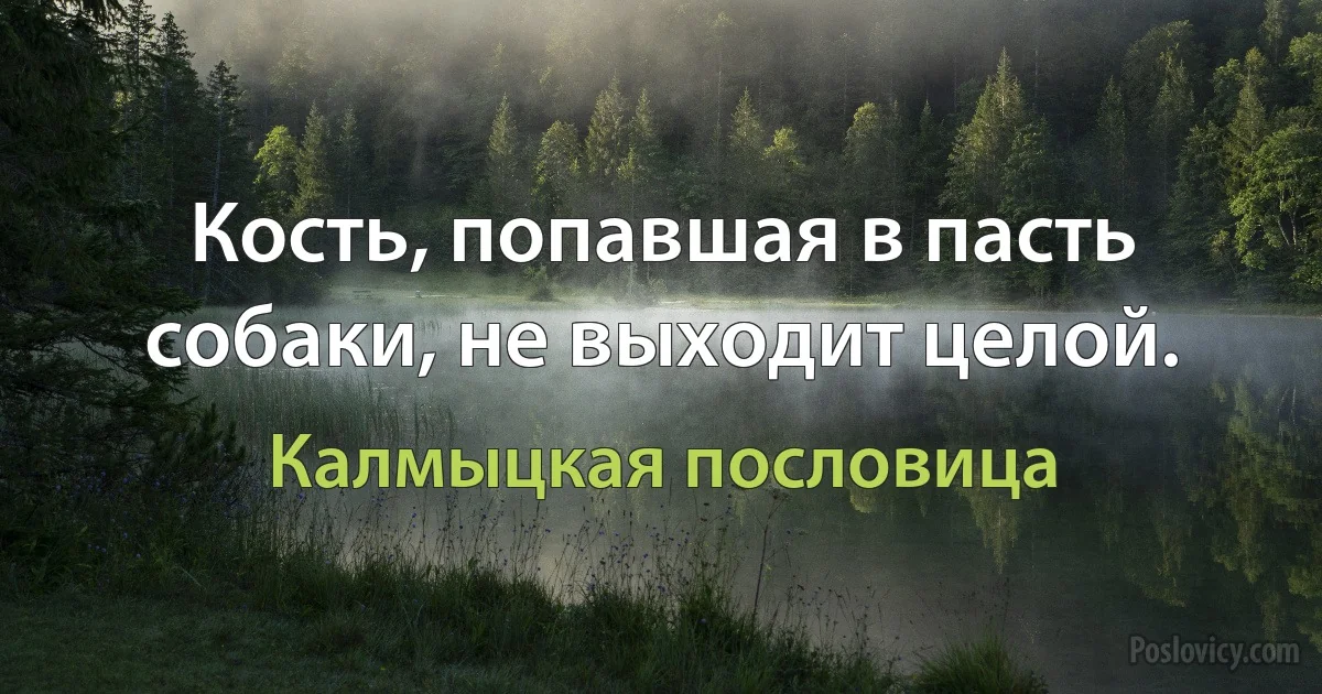 Кость, попавшая в пасть собаки, не выходит целой. (Калмыцкая пословица)