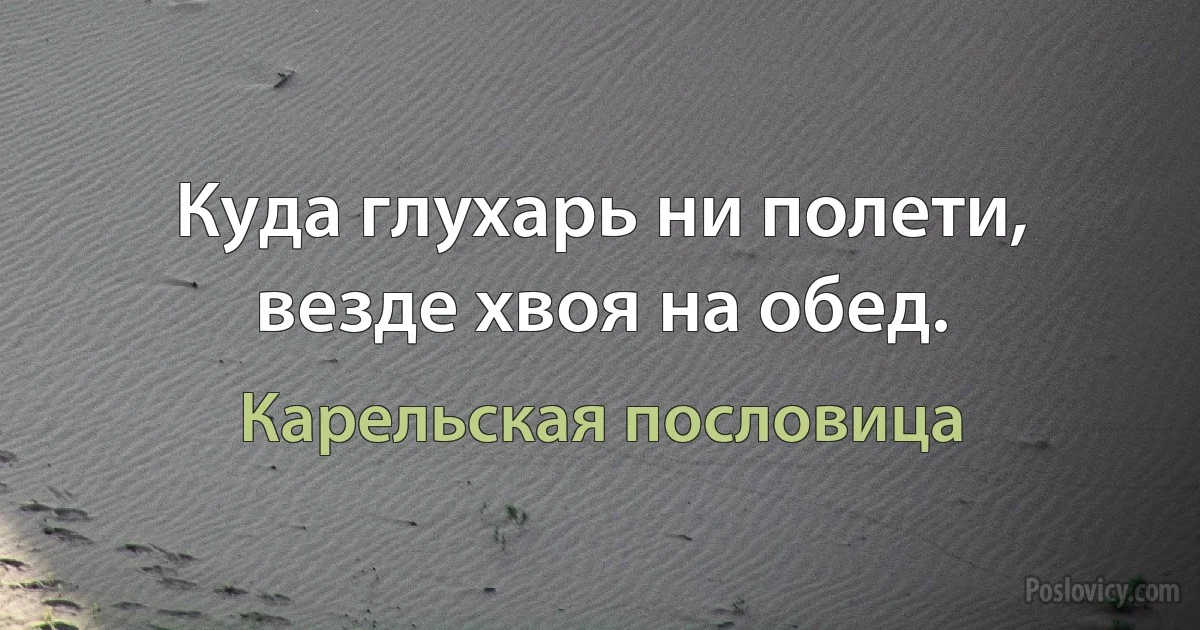 Куда глухарь ни полети, везде хвоя на обед. (Карельская пословица)