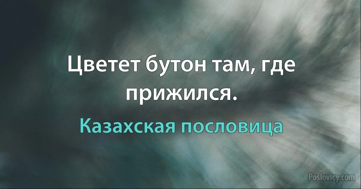 Цветет бутон там, где прижился. (Казахская пословица)