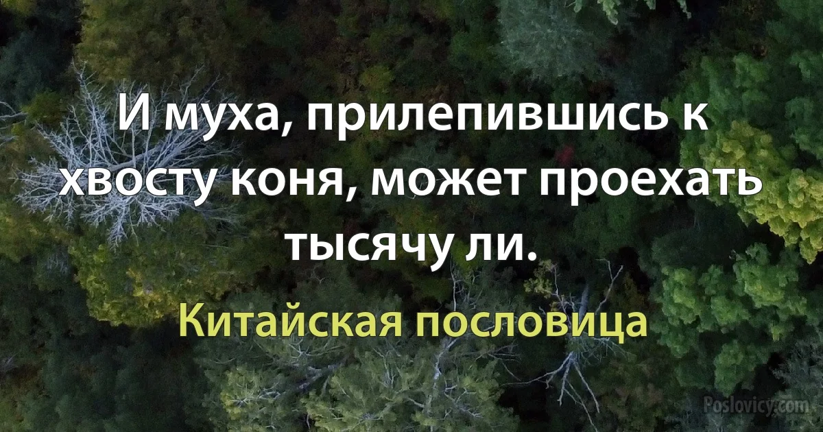 И муха, прилепившись к хвосту коня, может проехать тысячу ли. (Китайская пословица)