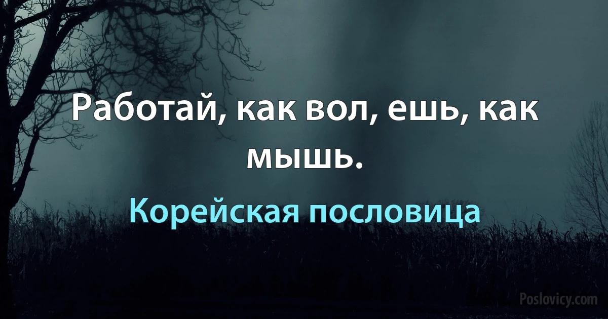 Работай, как вол, ешь, как мышь. (Корейская пословица)