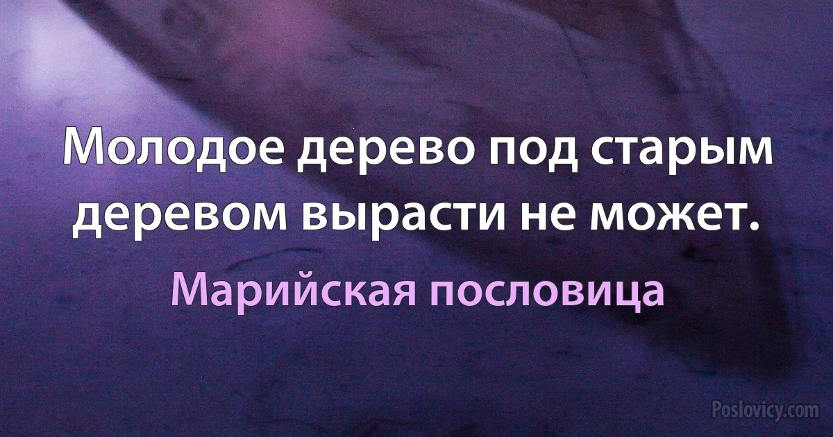 Молодое дерево под старым деревом вырасти не может. (Марийская пословица)