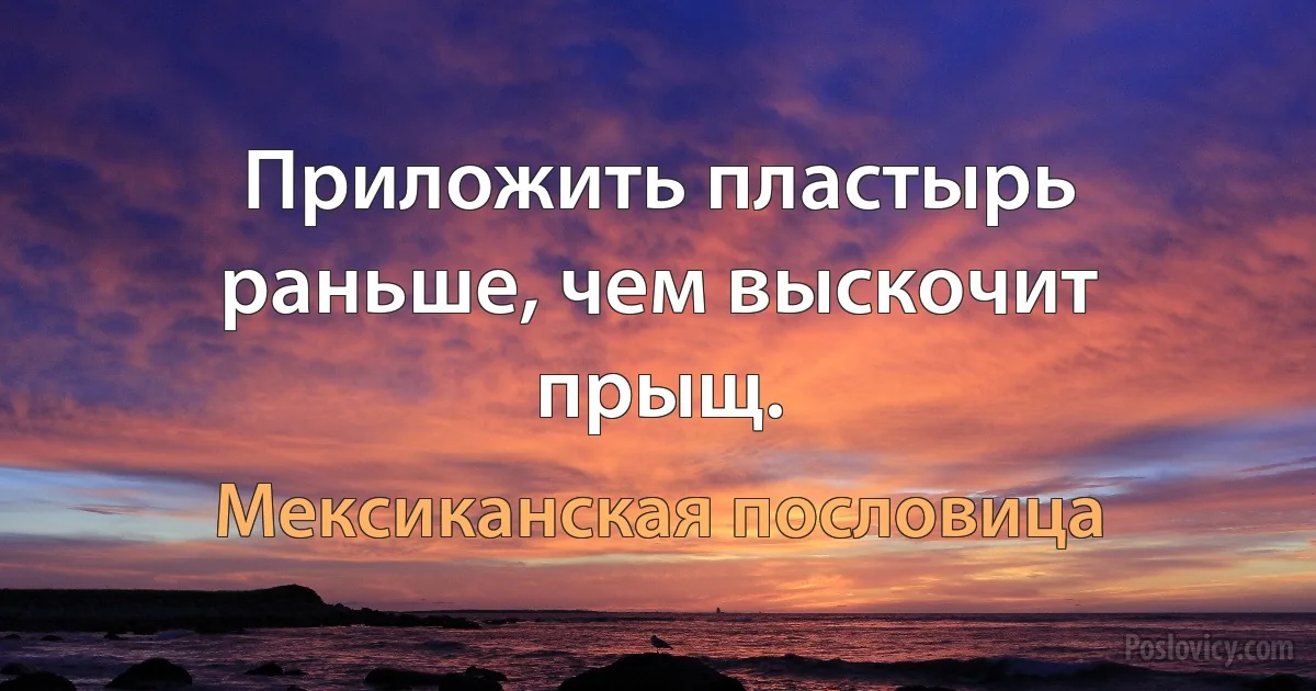 Приложить пластырь раньше, чем выскочит прыщ. (Мексиканская пословица)