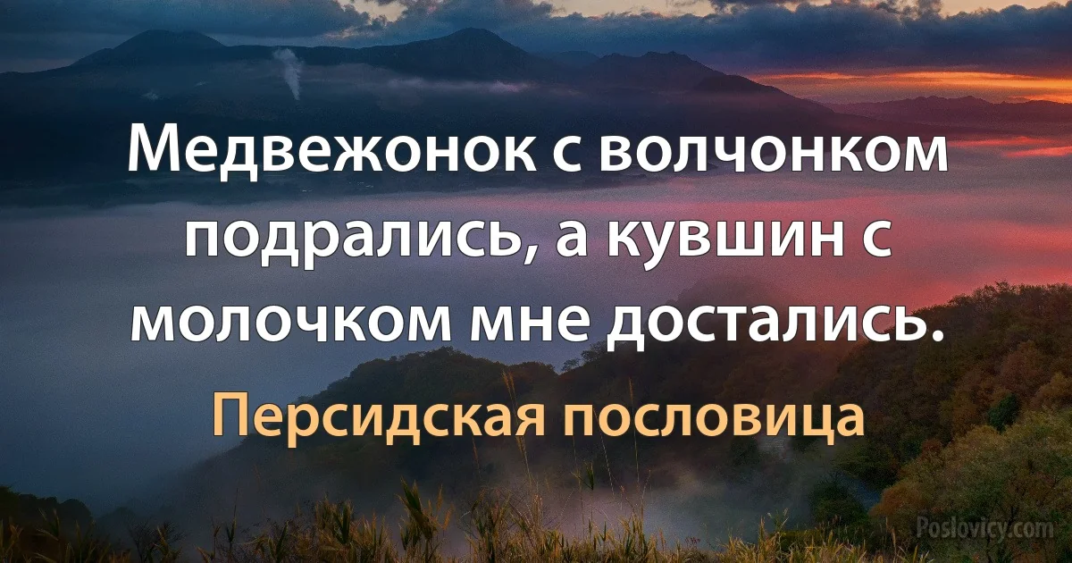 Медвежонок с волчонком подрались, а кувшин с молочком мне достались. (Персидская пословица)