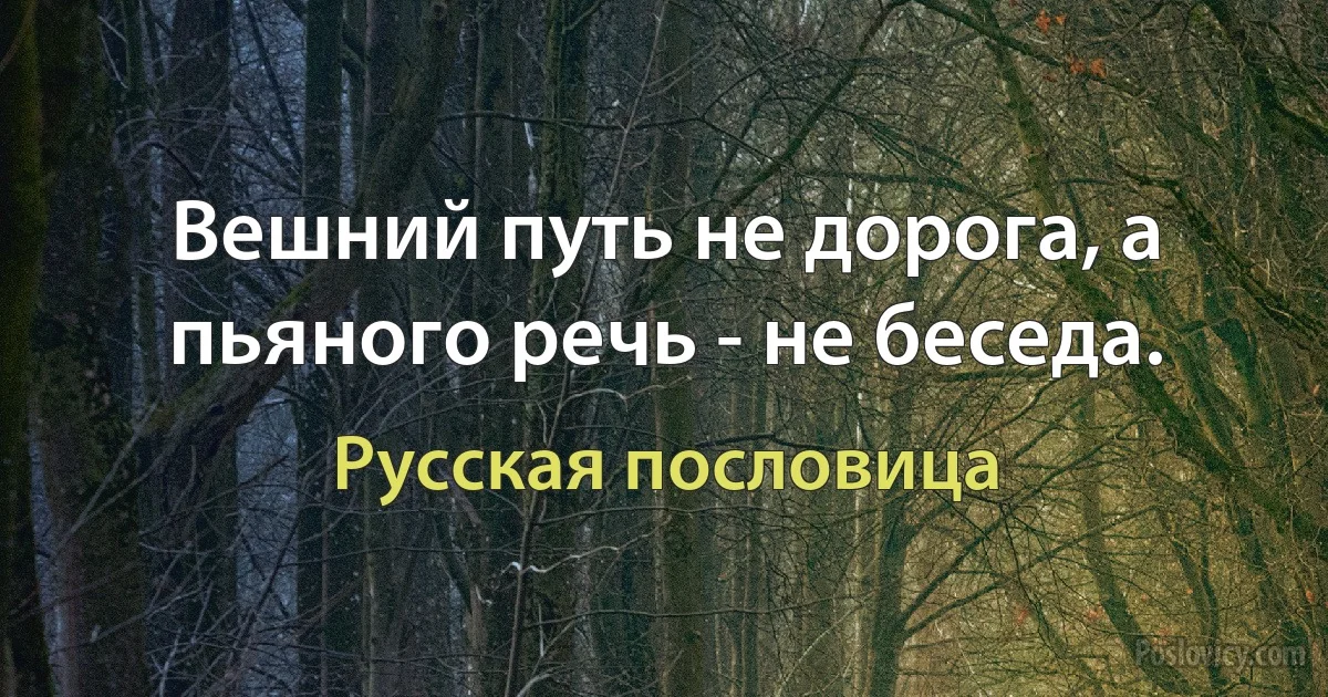 Вешний путь не дорога, а пьяного речь - не беседа. (Русская пословица)