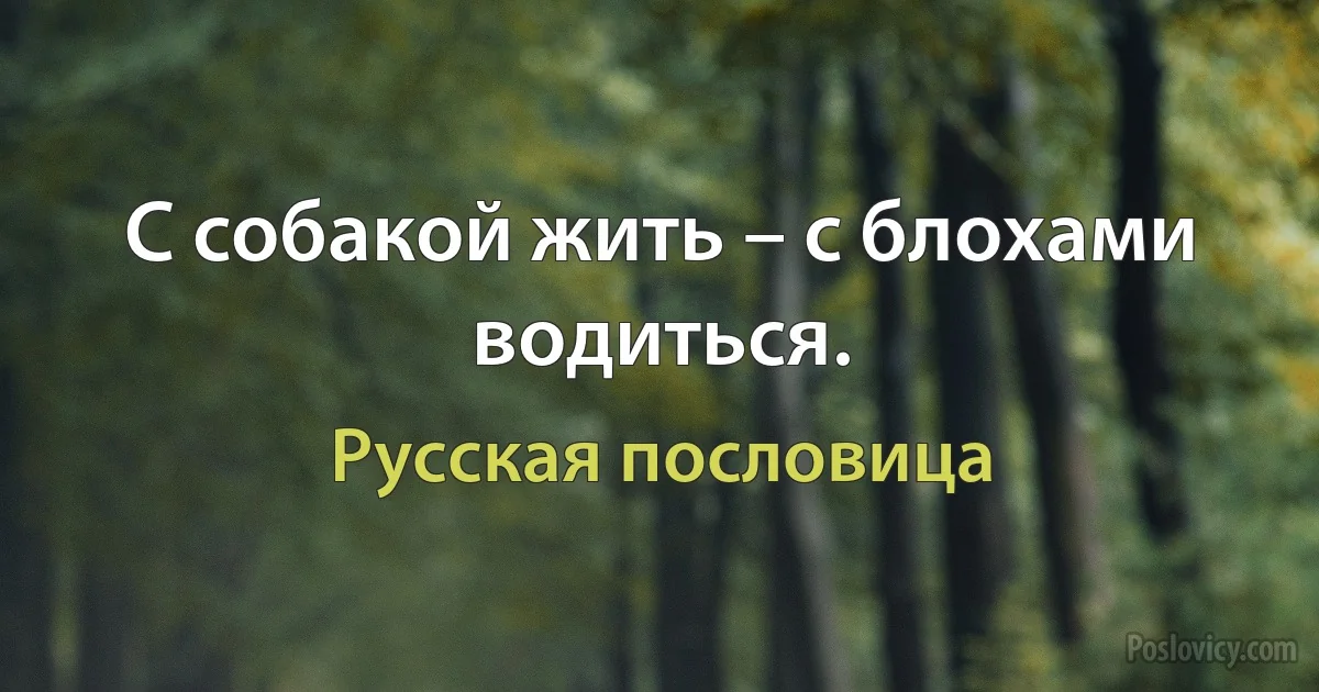 С собакой жить – с блохами водиться. (Русская пословица)