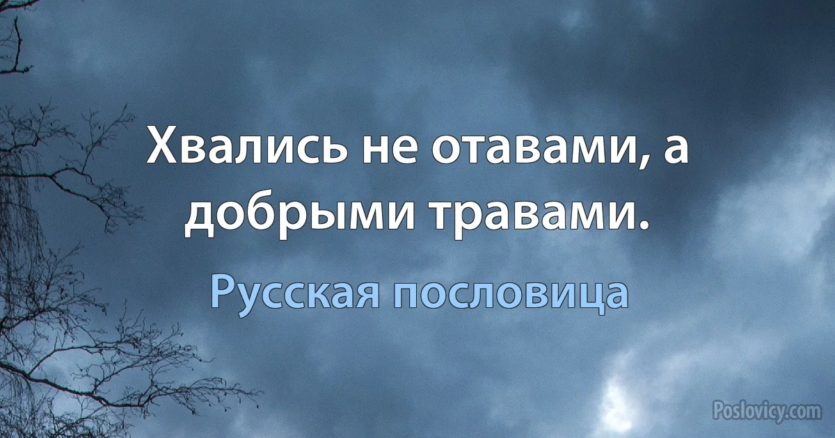 Хвались не отавами, а добрыми травами. (Русская пословица)