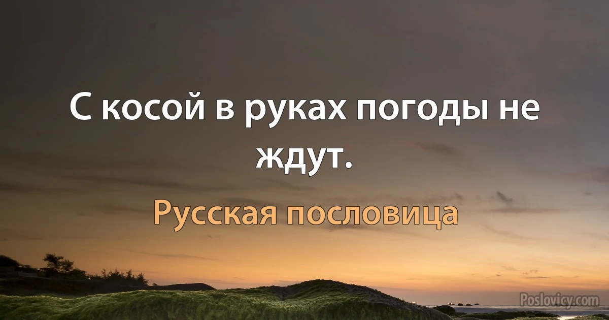 С косой в руках погоды не ждут. (Русская пословица)