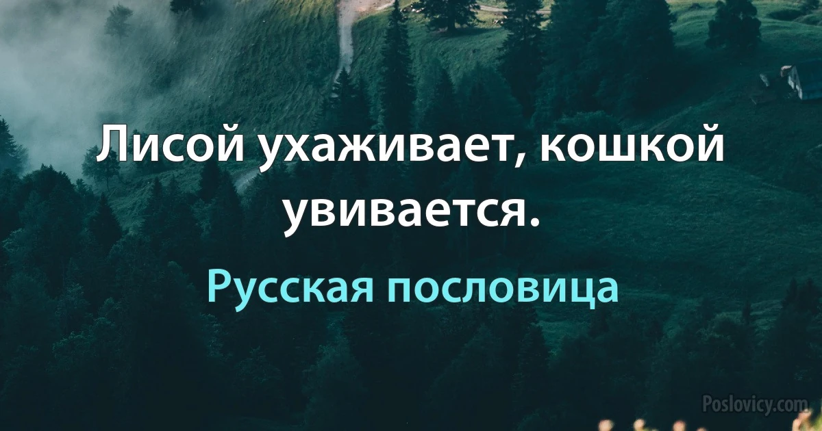 Лисой ухаживает, кошкой увивается. (Русская пословица)