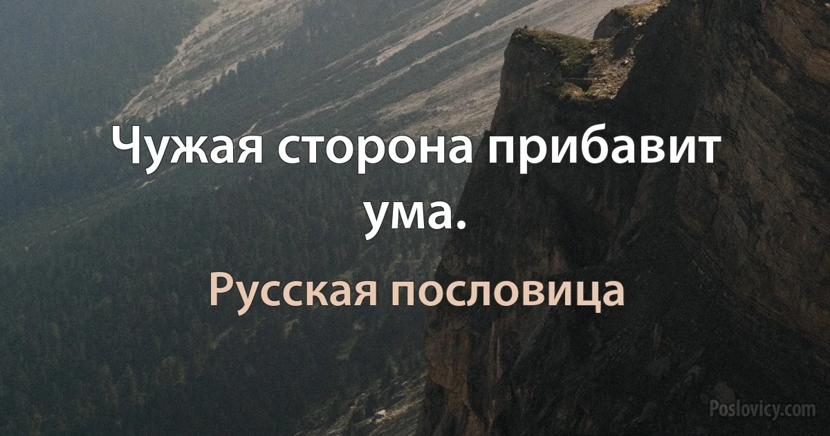 Чужая сторона прибавит ума. (Русская пословица)