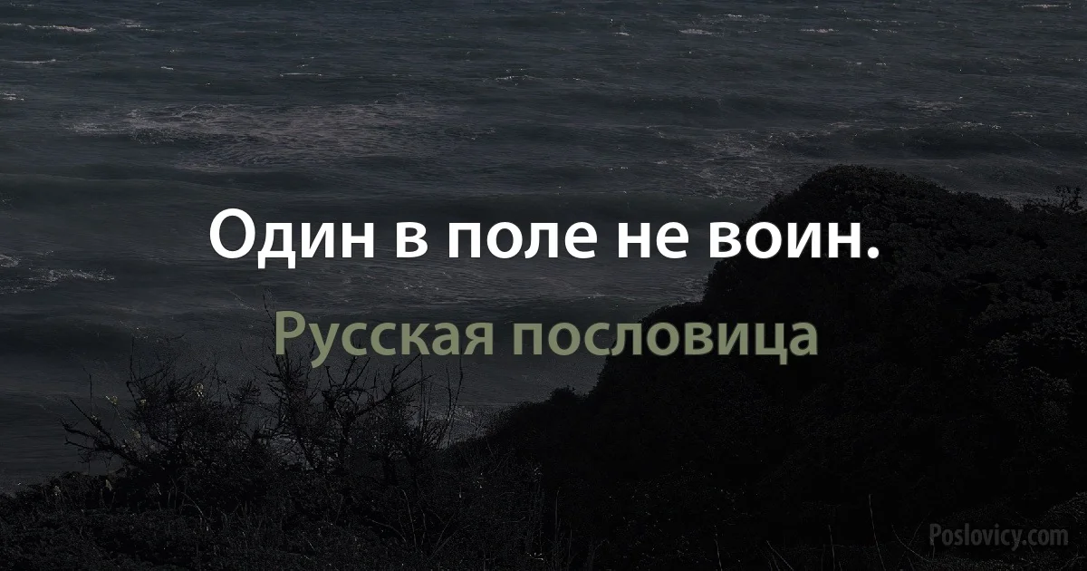 Один в поле не воин. (Русская пословица)