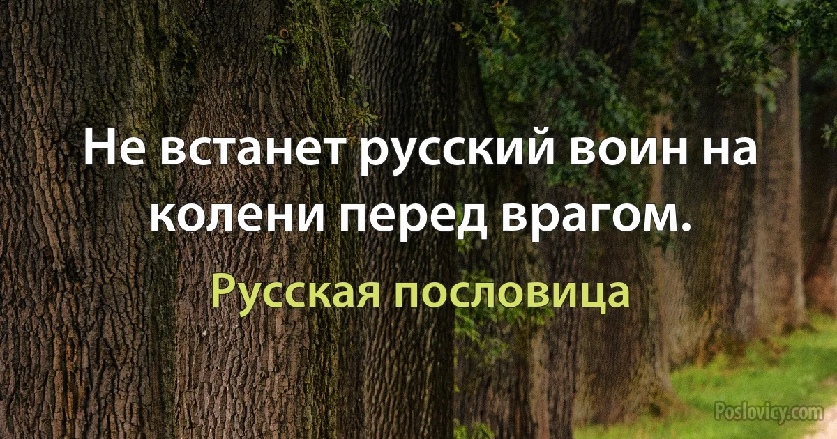 Не встанет русский воин на колени перед врагом. (Русская пословица)