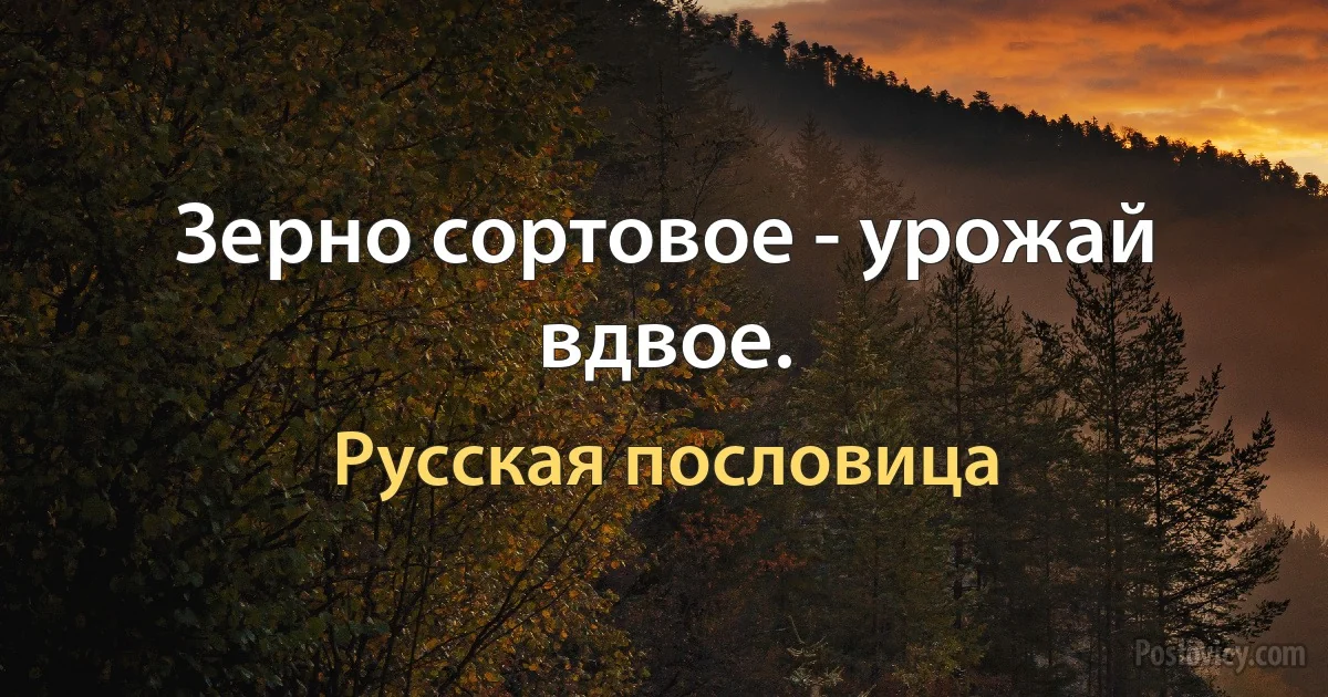 Зерно сортовое - урожай вдвое. (Русская пословица)