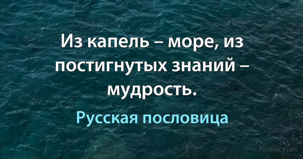 Из капель – море, из постигнутых знаний – мудрость. (Русская пословица)