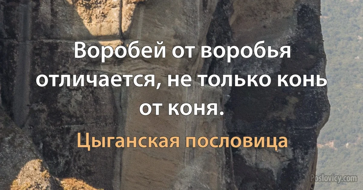 Воробей от воробья отличается, не только конь от коня. (Цыганская пословица)