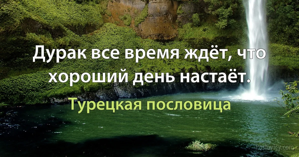 Дурак все время ждёт, что хороший день настаёт. (Турецкая пословица)