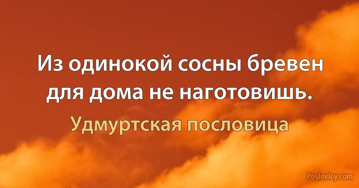 Из одинокой сосны бревен для дома не наготовишь. (Удмуртская пословица)