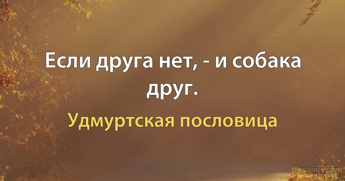 Если друга нет, - и собака друг. (Удмуртская пословица)