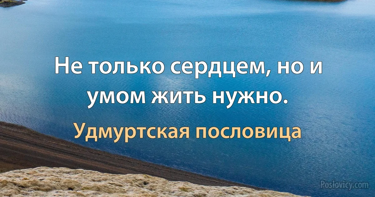 Не только сердцем, но и умом жить нужно. (Удмуртская пословица)