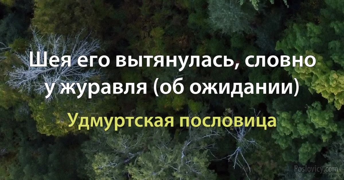 Шея его вытянулась, словно у журавля (об ожидании) (Удмуртская пословица)