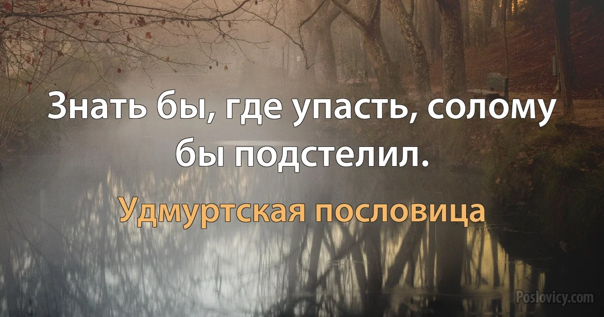 Знать бы, где упасть, солому бы подстелил. (Удмуртская пословица)