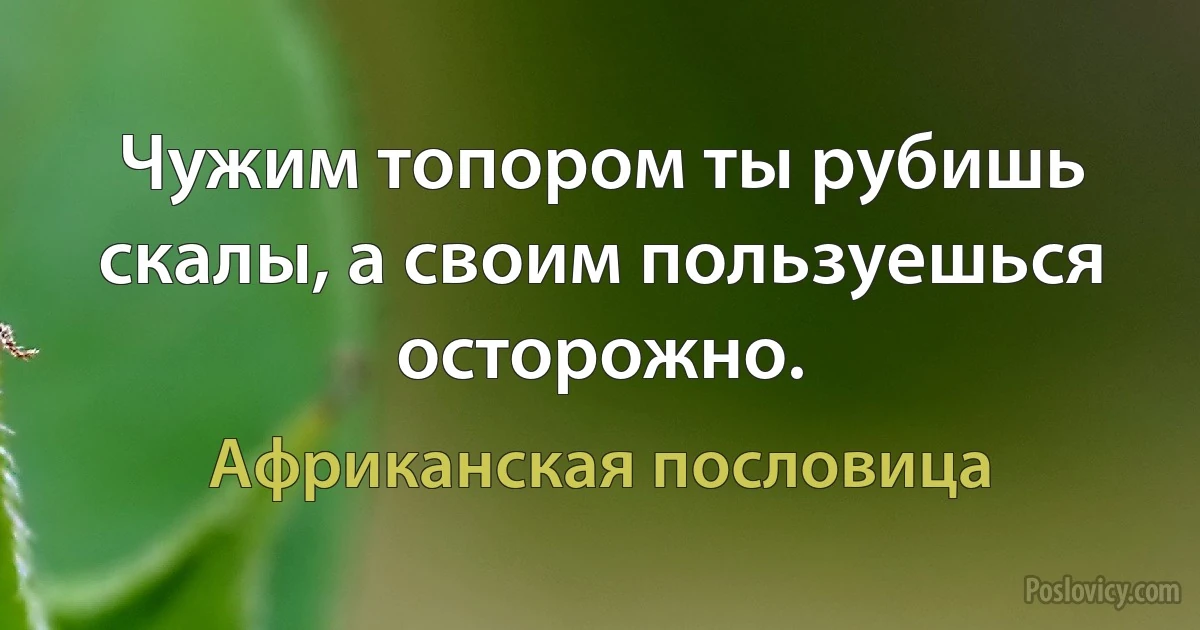 Чужим топором ты рубишь скалы, а своим пользуешься осторожно. (Африканская пословица)