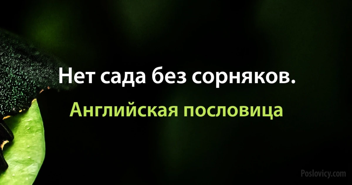 Нет сада без сорняков. (Английская пословица)