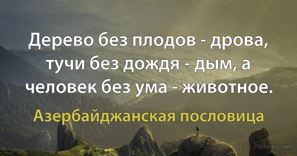 Дерево без плодов - дрова, тучи без дождя - дым, а человек без ума - животное. (Азербайджанская пословица)