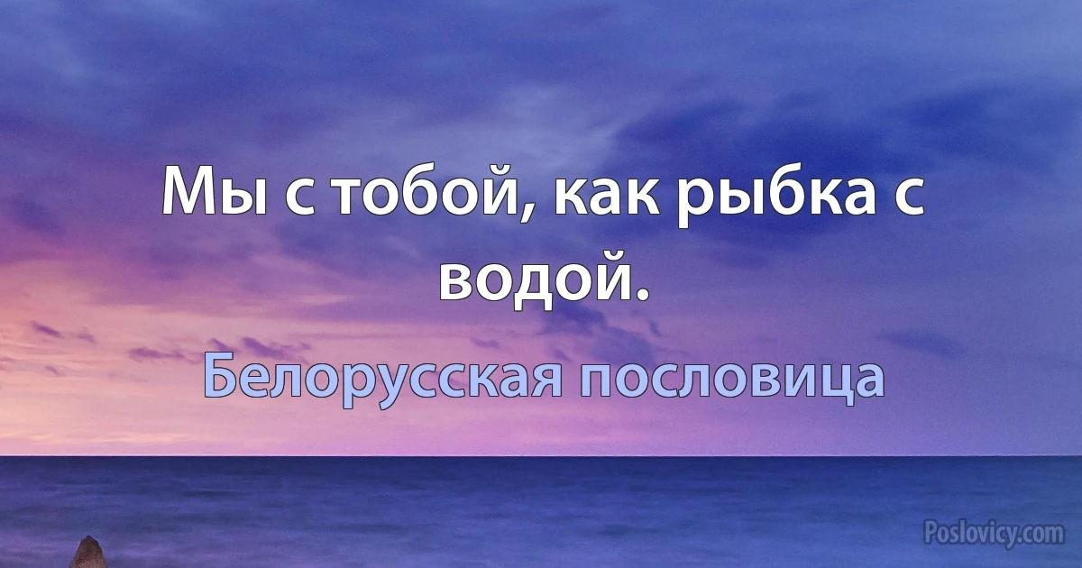 Мы с тобой, как рыбка с водой. (Белорусская пословица)