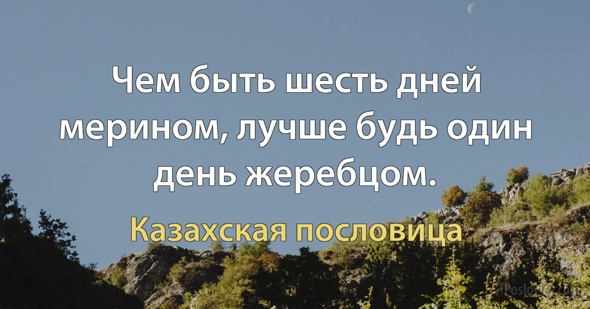 Чем быть шесть дней мерином, лучше будь один день жеребцом. (Казахская пословица)