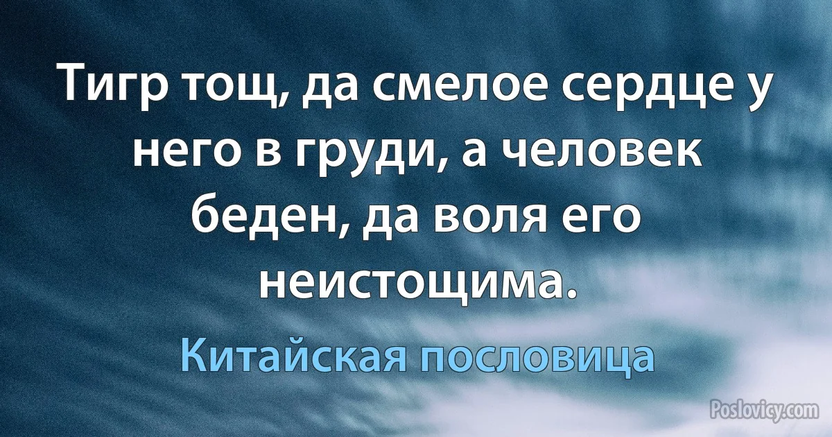 Тигр тощ, да смелое сердце у него в груди, а человек беден, да воля его неистощима. (Китайская пословица)