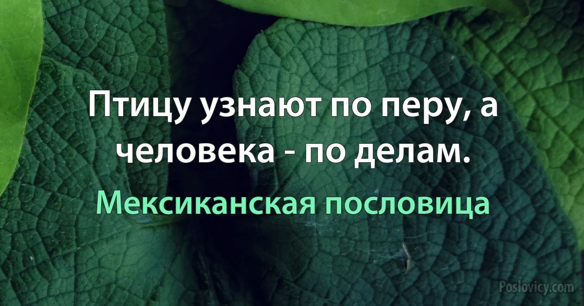 Птицу узнают по перу, а человека - по делам. (Мексиканская пословица)