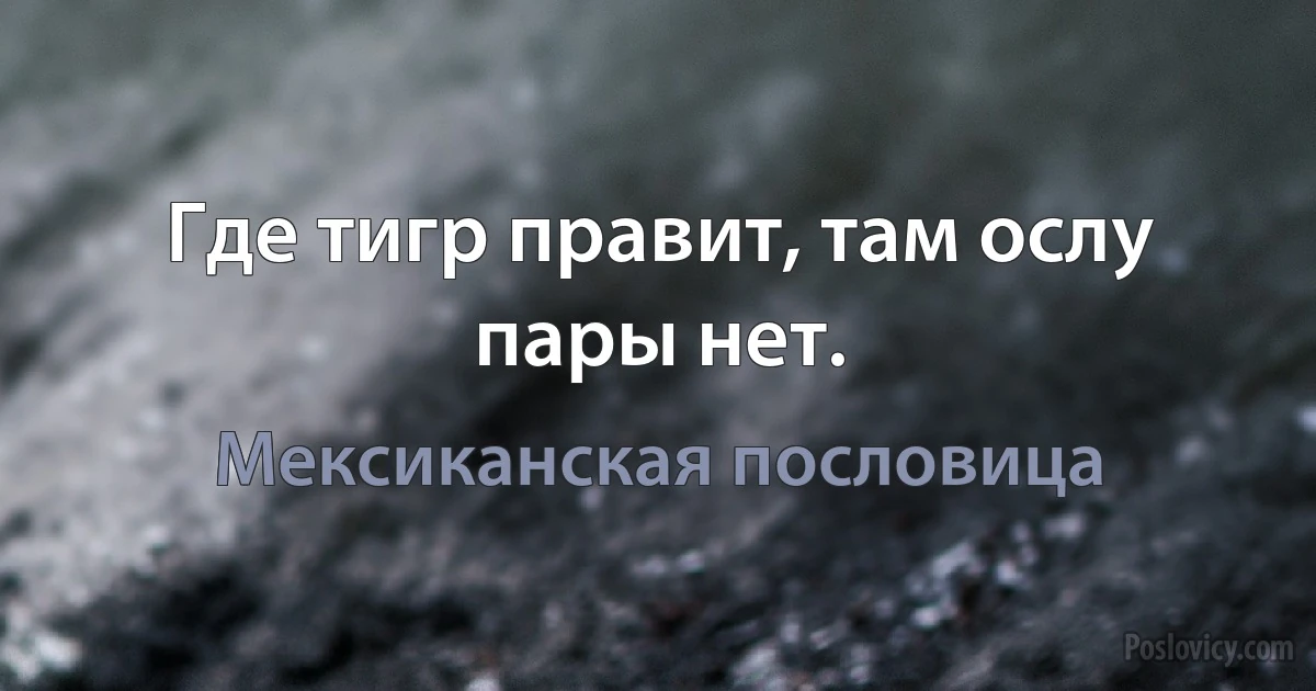 Где тигр правит, там ослу пары нет. (Мексиканская пословица)