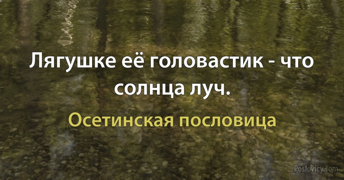 Лягушке её головастик - что солнца луч. (Осетинская пословица)