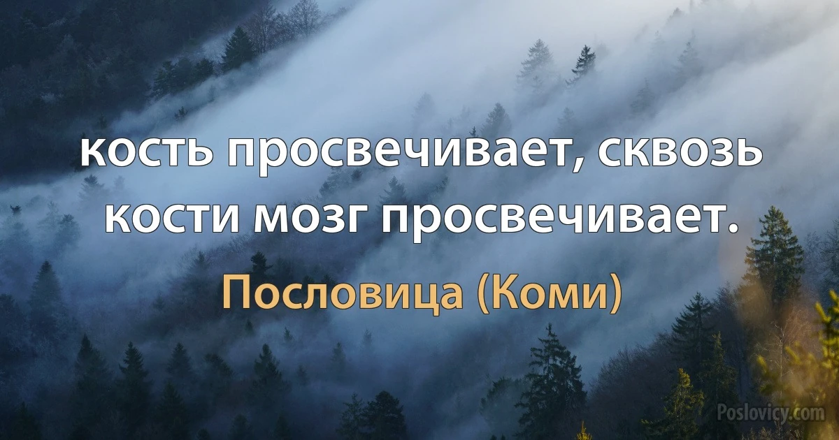 кость просвечивает, сквозь кости мозг просвечивает. (Пословица (Коми))